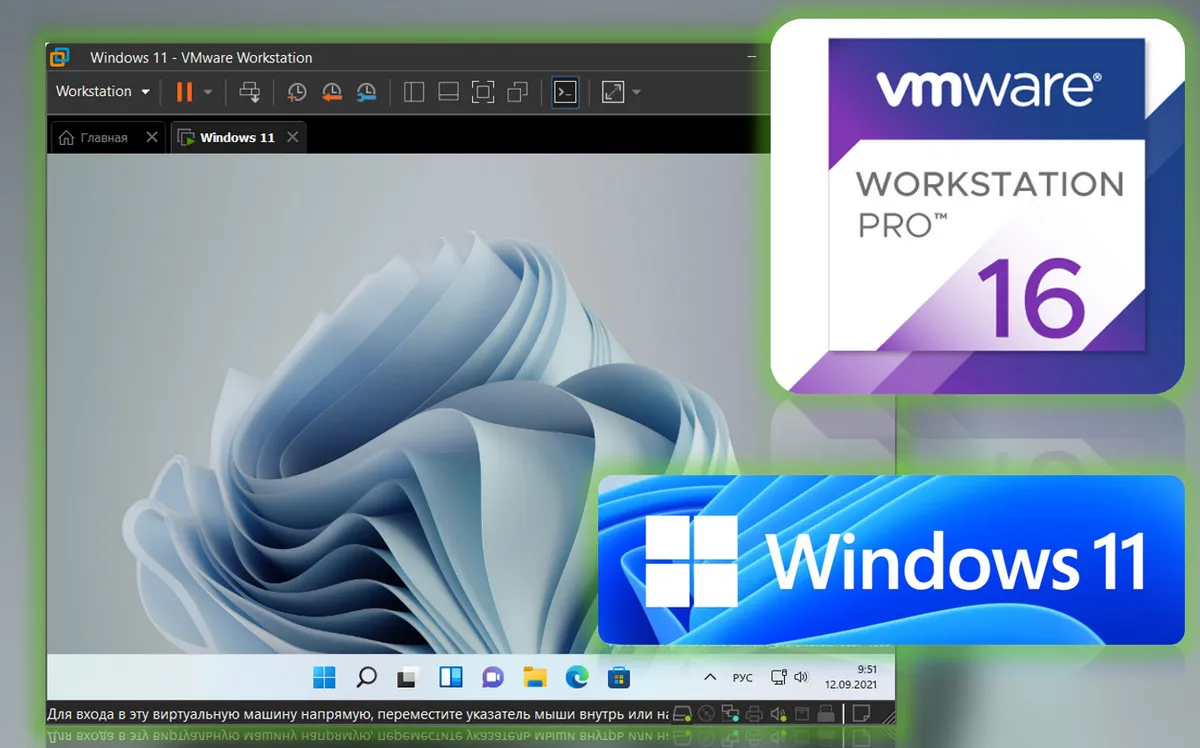 Как установить Windows 11 на виртуальную машину в программе VMware Workstation Pro
