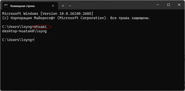 Как узнать имя пользователя компьютера в Windows 11